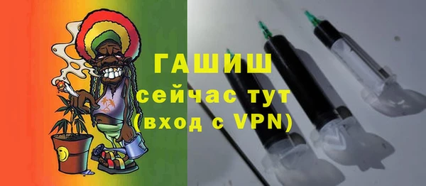 хмурый Алзамай