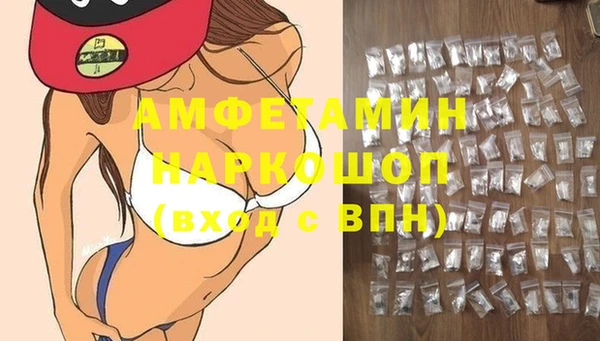 хмурый Алзамай