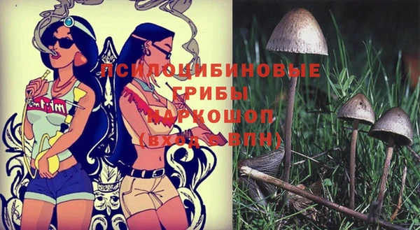 хмурый Алзамай