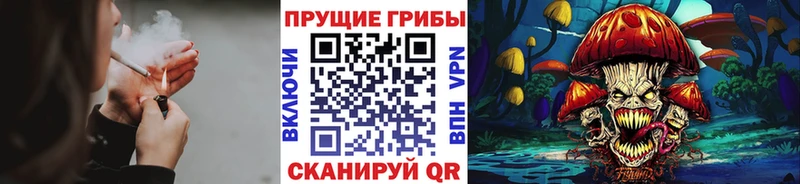 Псилоцибиновые грибы ЛСД  блэк спрут ССЫЛКА  darknet телеграм  Буй 
