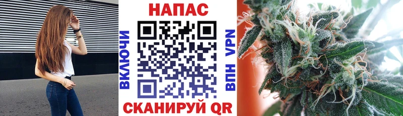 МАРИХУАНА Ganja  Буй 